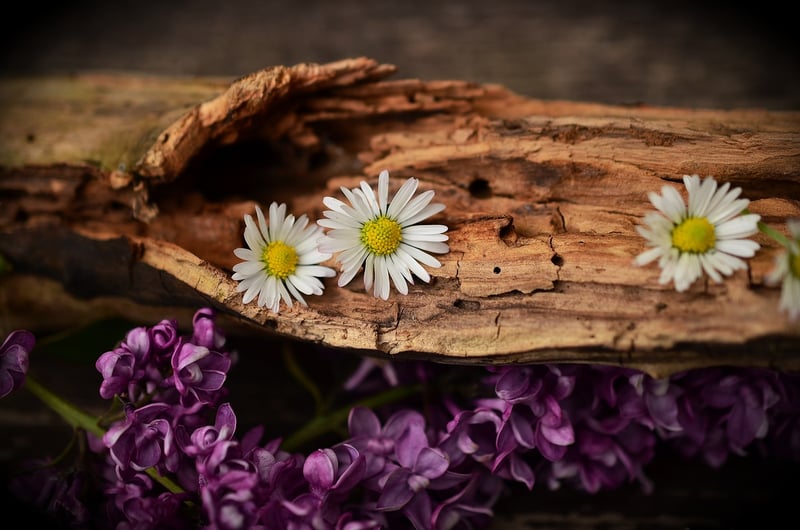 Natural Wood